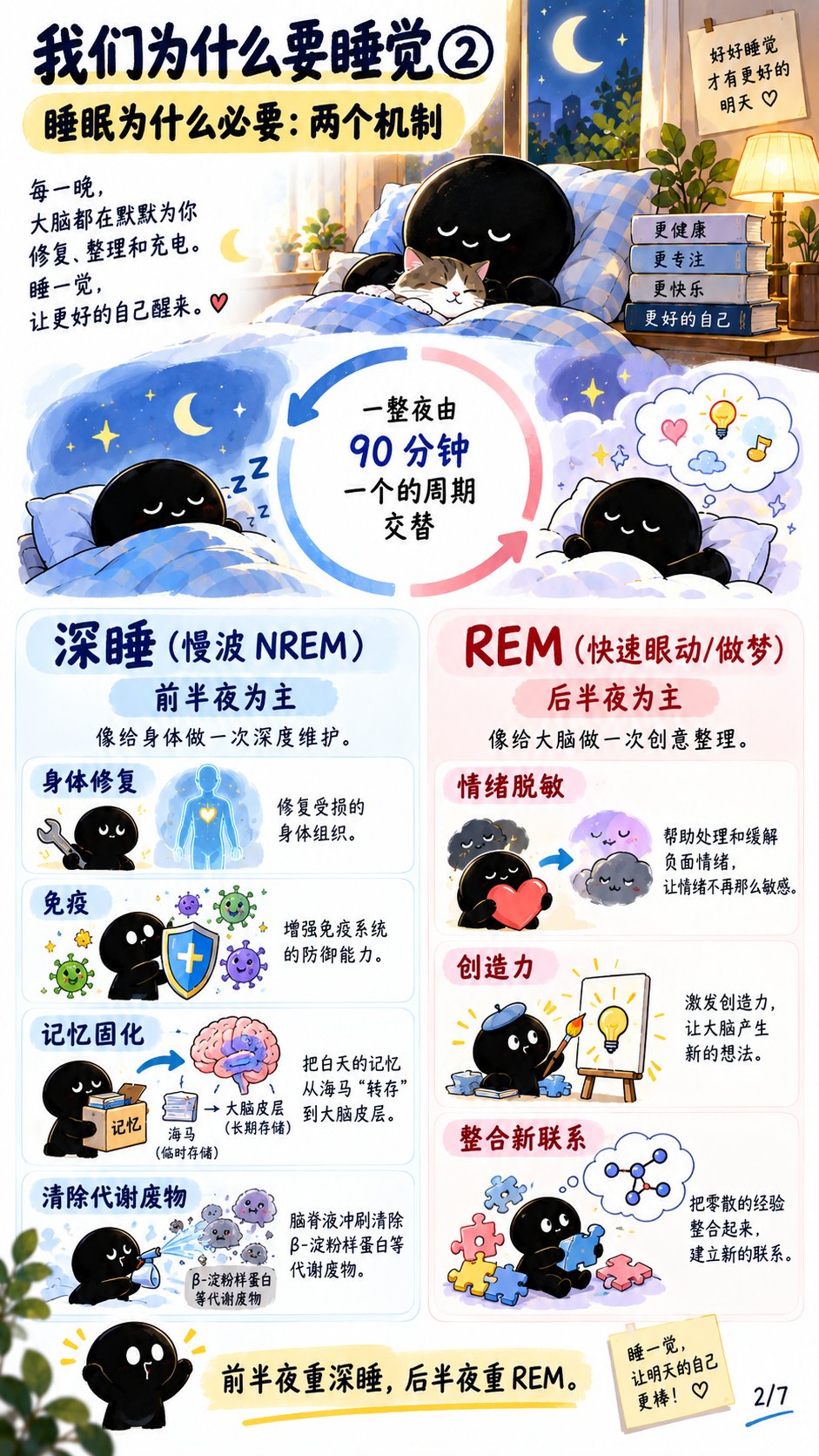 知识卡 7:睡眠为什么必要:深睡与 REM 的分工